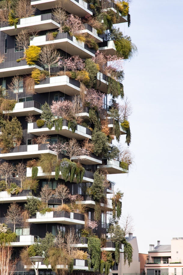 Bosco Vertikale still is one of the most impressive examples of façade greening. Photo: Arup