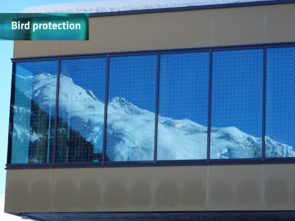 Glass in architecture poses a danger to birds - bird protection glass offers a solution. Photo: © M. Haller Glass in architecture poses a danger to birds - bird protection glass offers a solution. Photo: © M. Haller