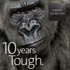 Corning® Gorilla® Glass, introduced in 2007, marks a brilliant 10-year milestone