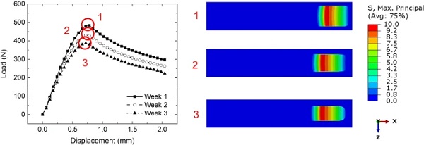 Fig. 10