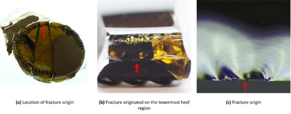 Fig.  11: Location of fracture origin indicated with arrows, Sample 2.