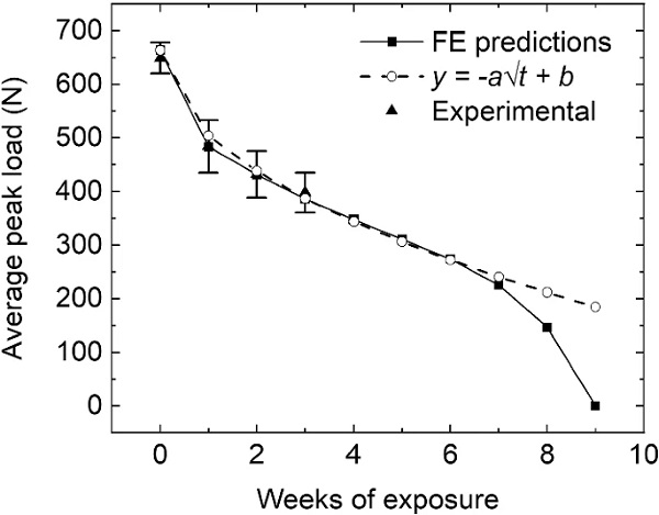 Fig. 12