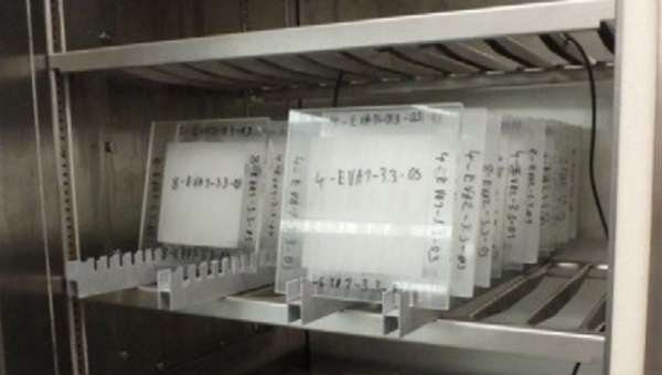 Figure 13   Samples in the climate chambe