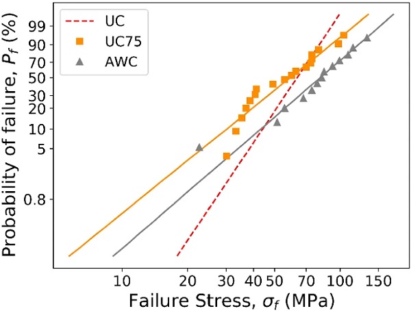 Fig. 13