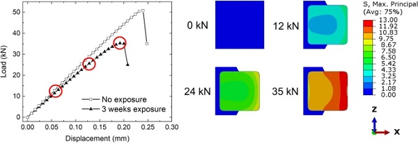 Fig. 14