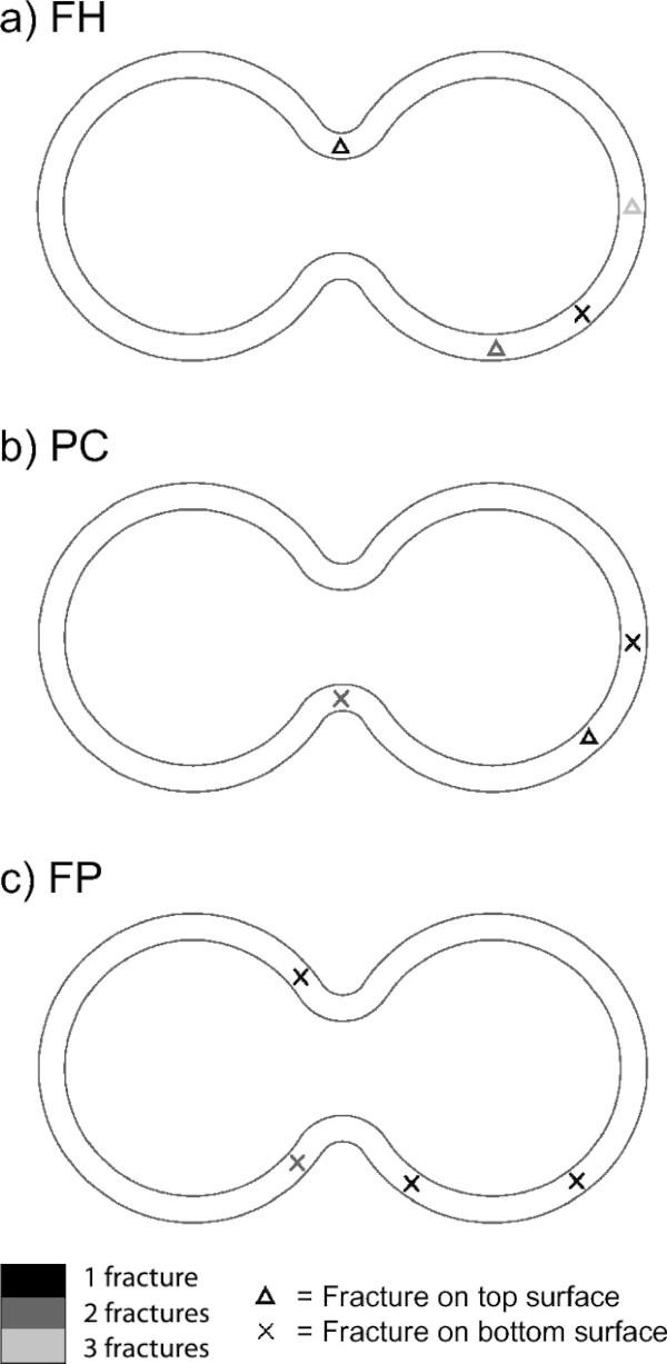 Fig. 17