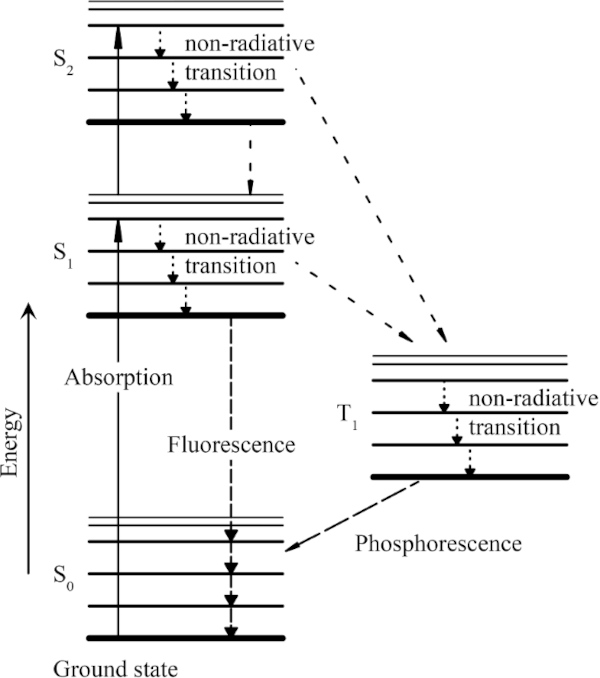 Fig. 1