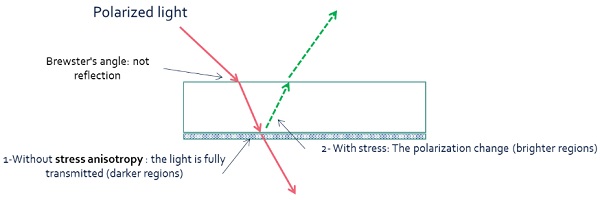 Figure 3   Illustration of the revelation of darker and brighter regions reveled by the anisotropy pattern