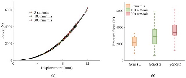 Fig. 3. Results from the quasi-static punch tests: (a) force-displacement curves including fracture points, and (b) box plots of the fracture forces.