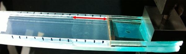 Fig. 4: For the structural interlayer and the ionomer, at room temperature and at a speed of 1mm/min, the delamination front propagates abruptly over several centimeters. On the picture we can see the delamination front that has propagated between its initial position and the position visible here (red arrow ~4cm) within a fraction of seconds.