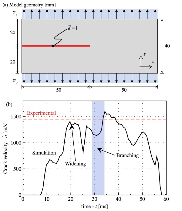 Fig. 5: (a) Finite element model for dynamic crack branching test. (b) Crack velocity as a function of time.