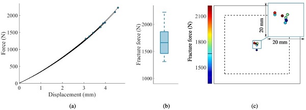 Fig. 6. Results from the reference tests: (a) force-displacement curves including fracture points, (b) box plot of the fracture forces, and (c) point of fracture initiation with the corresponding fracture force.