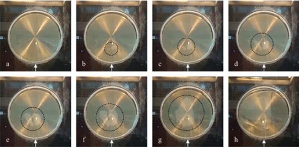 Figure 9: Example of progressive delamination of button shear specimen. The arrow indicates the direction of loading.