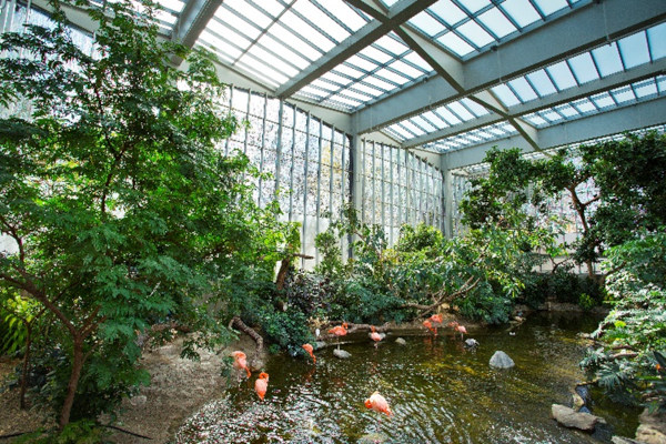 The National Aviary’s Wetlands Habitat (Photography: Jim Cunningham)