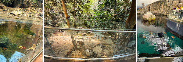 EnduroShield protected glass at Montreal Biodome