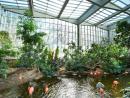 The National Aviary’s Wetlands Habitat (Photography: Jim Cunningham)