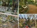 Glass Protection for the Wild and Wonderful: The Biodome Story