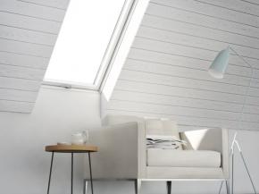 The rise and rise of white painted roof windows