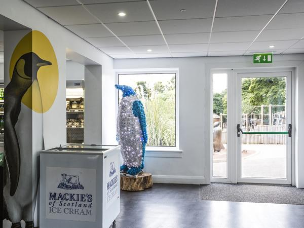 ‘Creature comforts’: aluplast Ideal 70 specified by Edinburgh Zoo